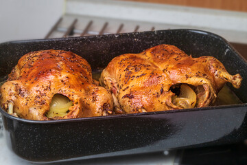 Golden roast duck on a plate in the oven