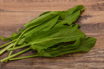 Aroma Fresh green sorrel heap