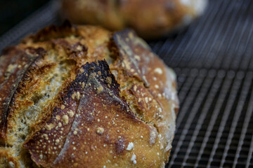 Baked loaf of artisanal whole wheat and dark rye rustic sourdough bread on a cooling rack, baked at home, photo series