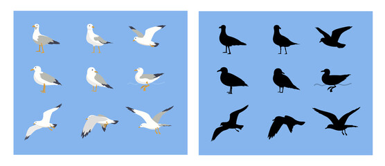 Vector set of cartoon seagulls and  sea gull silhouette. Cartoon atlantic seabird in a flat style. Seagulls flying in the blue sky.