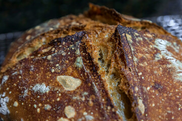 Baked loaf of artisanal whole wheat and dark rye rustic sourdough bread on a cooling rack, baked at home, photo series