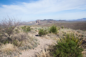 Desert Mountain from Big Bend National Park