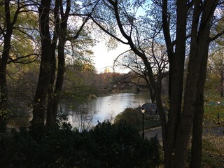 Obraz premium Pond in the park