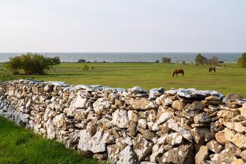 A stone wall fence in Faro Island, Sweden. Horses grazing in the distance and the Baltic sea in the...