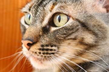 Tita is posing for her picture