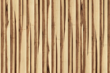 maple wood tree timber background texture structure surface