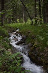 Bergbach, Kandersteg, Berner Oberland, Schweiz