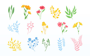 Garden collection of herbs, leaves, branches and wildflowers. Set of simple illustration shapes filled with color and isolated on white background