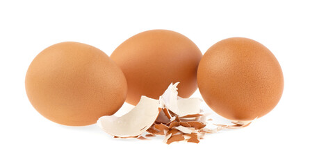 Chicken eggs and shell on a white background, isolated.