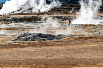 The steaming volcanic pools at Hverir, Myvatn, Nordhurland Eystra, Iceland.