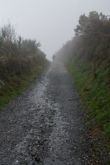 Camino de Santiago
The Pilgrimage Routes to Santiago de Compostela