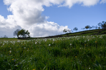 Obraz premium Camino de Santiago The Pilgrimage Routes to Santiago de Compostela