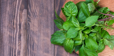 Bunch of Fresh basil on dark wooden background