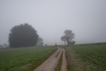 Camino de Santiago
The Pilgrimage Routes to Santiago de Compostela