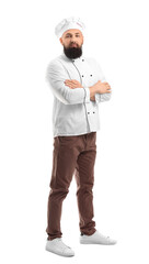 Handsome male chef on white background