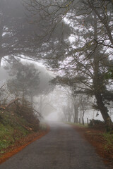 Naklejka premium Camino de Santiago The Pilgrimage Routes to Santiago de Compostela