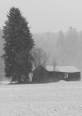 old house in the snow