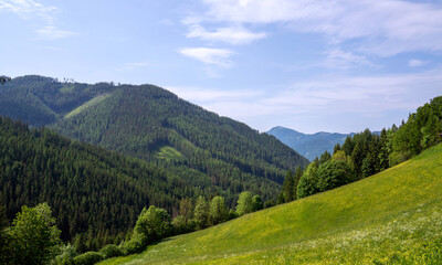 mountain landscape in summer