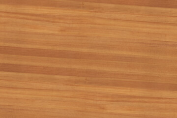 Obraz premium brown pine tree wood grain structure texture background