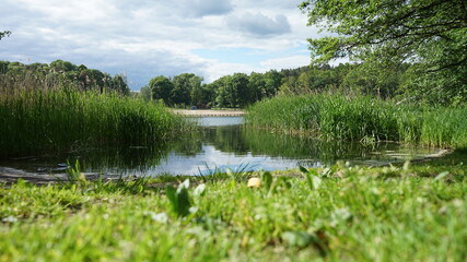 Fototapeta na wymiar Beautiful landscape with little lake