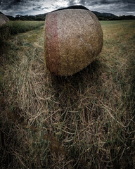 A large hay bale that seems about to roll in the field do to lens effect. A panorama Merge.  Nikon...