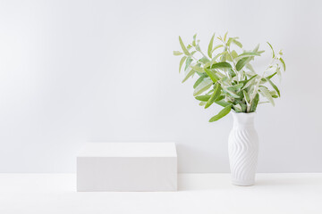 Empty white box and branches with green leaves in a vase on a light background. Mockup banner for display of advertise product