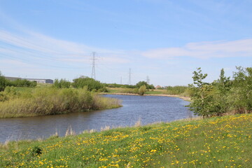 Obraz premium View Of The Lake, Pylypow Wetlands, Edmonton, Alberta