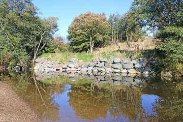 Trees reflected in the River Teign, Devon