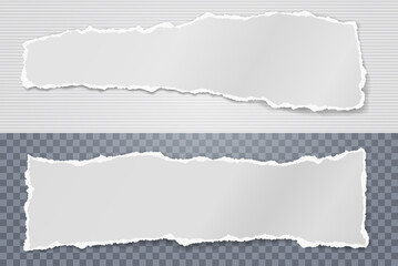 Fototapeta premium Torn of white note, notebook paper strips and pieces stuck on squared, lined background. Vector illustration