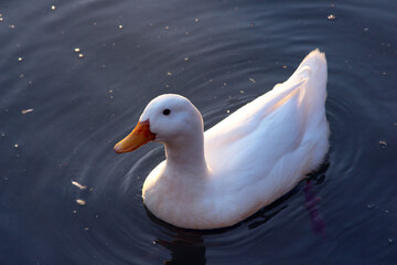 This little friend is asking for food