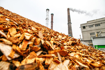 Biomass energy factory. The station uses waste wood biomass as an energy source, and provides electricity and heat. Ecological recycling factory - obrazy, fototapety, plakaty