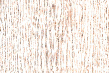 wood tree timber grain background texture structure surface