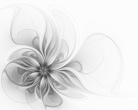 Fototapeta Elegant gray fractal flower on a white background
