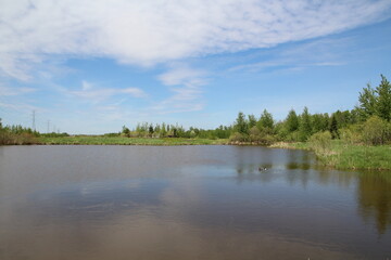 Beauty Of Spring On The Lake, Pylypow Wetlands, Edmonton, Alberta