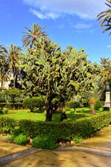 Fototapeta na wymiar View of Parco delle Favorita, Palermo, Sicily.