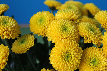 Bouquet of small yellow chrysanthemums