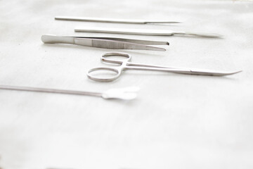 Fototapeta premium Dissection Kit - Premium Quality Stainless Steel Tools for Medical Students of Anatomy, Biology, Veterinary, Marine Biology