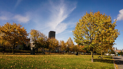 Montreal City impressions during a sunny day during Autumn in Canada's Quebec region.