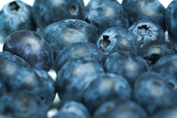blueberry berries dark blue