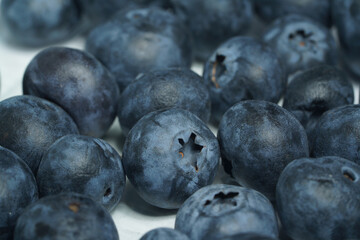 blueberry berries dark blue