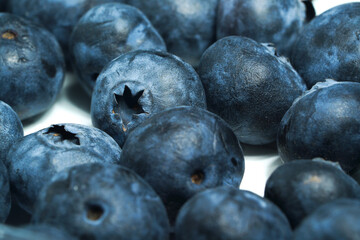 blueberry berries dark blue