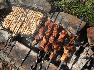 grilled meat on the grill