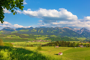 Allg&auml;u - Landschaft - Altst&auml;dten - Ofterschwang - Baum