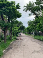 street, alley, quiet street, ucraine