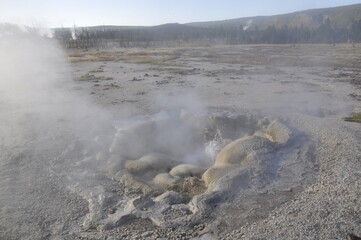 Geyser Yellowstone