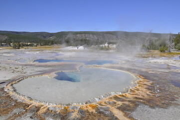 Geyser Yellowstone