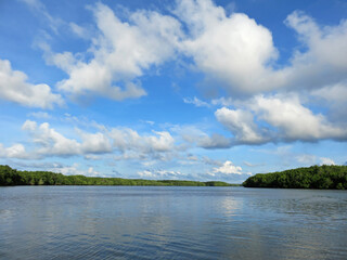 Sights From The Bujang Sungai Lebam River Cruise Of Malaysia