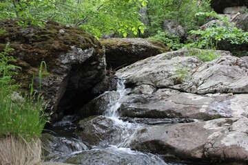 Mountain river - a small waterfall on a river with crystal clear water that flows among gray stones in a green forest on a cloudy summer day. Big stones near the pond