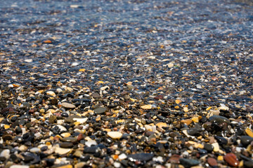 Shore with pebbles. Ground level view close-up.