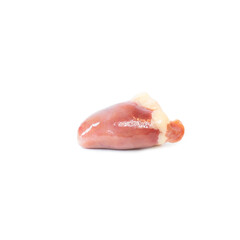 Raw fresh meat chicken offals - one heart isolated on white